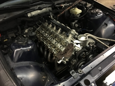 14612574 1832503633649823 1309835217900709731 o